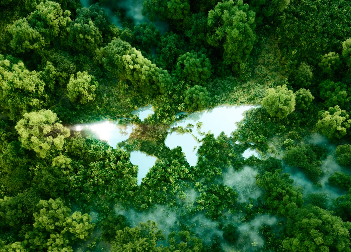 Environmental and Climate Change